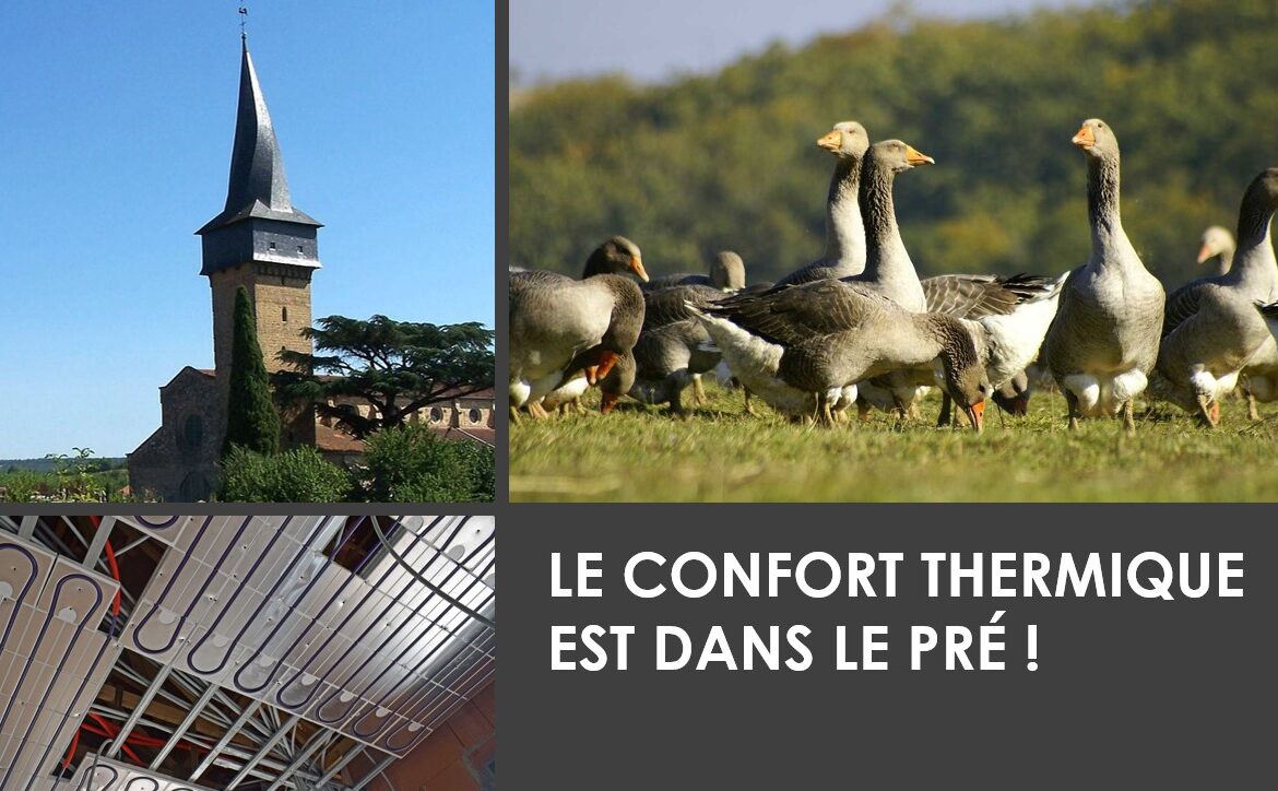 Le confort thermique est dans le pré