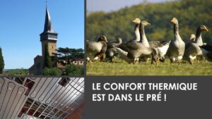 Le confort thermique est dans le pré