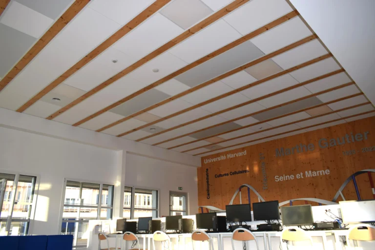 panneau rayonnant métallique en lycée et collège