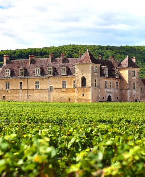 Burgundy, France - September 10, 2013: Landscape view of a typical sunlit vineyard in Burgundy, France with Chateau Clos Du Vougeot, stone walls and hills in the background